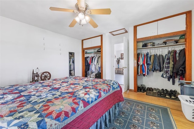 5611 State Route 156, Waterloo, IL 62298 - bedroom with wood finished floors, multiple closets, and ceiling fan