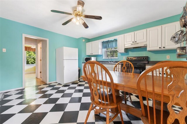 5611 State Route 156, Waterloo, IL 62298 - dining space with plenty of natural light, light floors, a ceiling fan, and baseboards