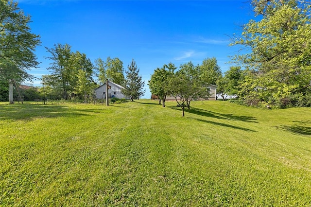 5611 State Route 156, Waterloo, IL 62298 - view of grassy yard