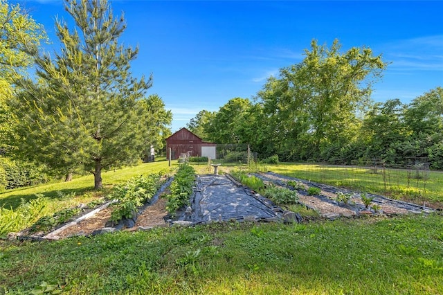 5611 State Route 156, Waterloo, IL 62298 - view of yard with a garden and an outdoor structure