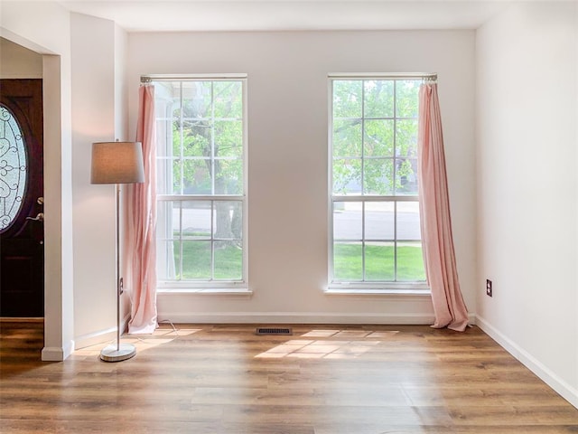 doorway to outside featuring baseboards, plenty of natural light, and wood finished floors