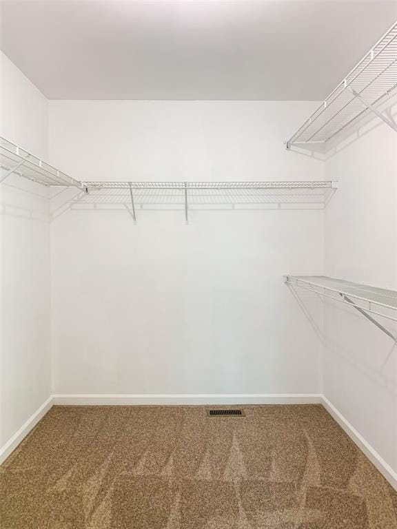 spacious closet with carpet