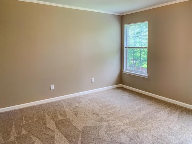 carpeted spare room featuring baseboards and crown molding