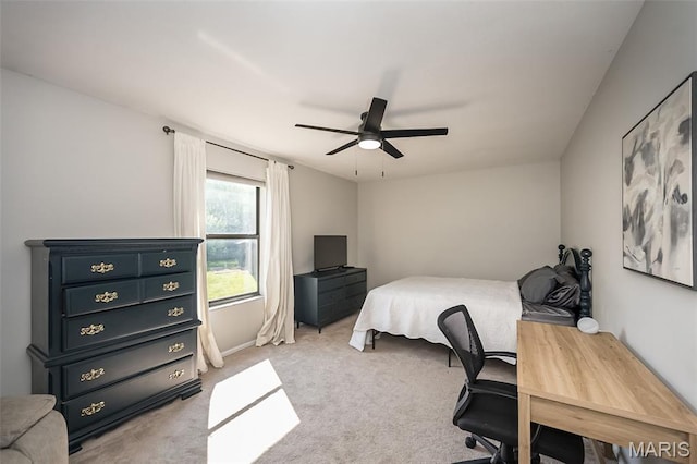 1505 W Field Ave, Ellisville, MO 63011 - photo 31