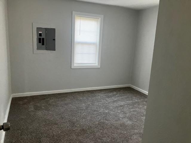423 W Mckinley Ave, Bernie, MO 63822 - carpeted spare room featuring electric panel and baseboards