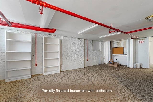 3534 Washington Ave, Saint Louis, MO 63103 - finished basement with carpet