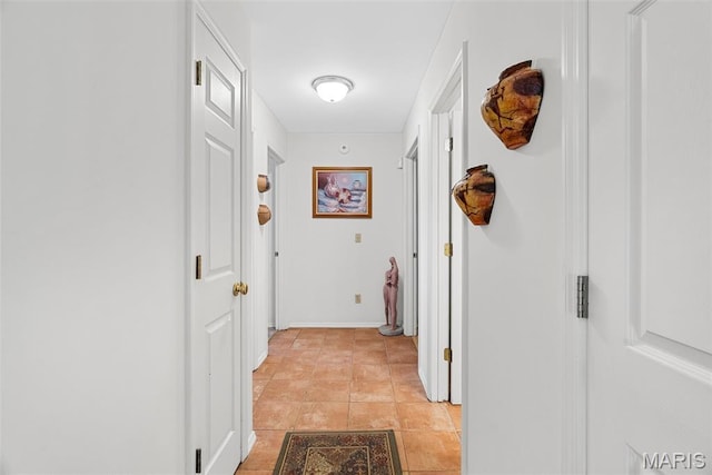 13116 Ambrose Ct, Black Jack, MO 63033 - view of hall