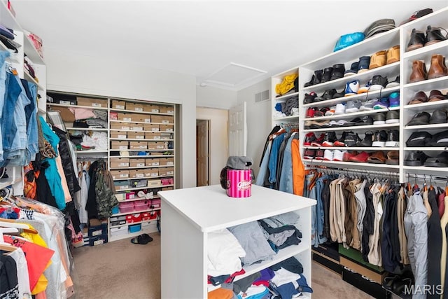 13116 Ambrose Ct, Black Jack, MO 63033 - walk in closet with attic access and carpet
