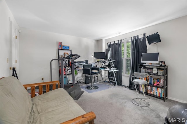 13116 Ambrose Ct, Black Jack, MO 63033 - office featuring carpet flooring