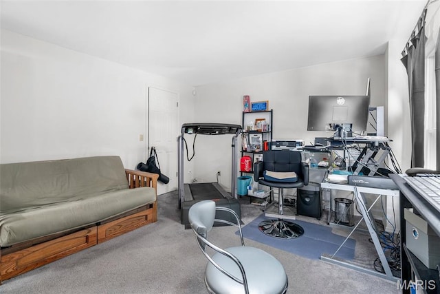 13116 Ambrose Ct, Black Jack, MO 63033 - office area featuring carpet