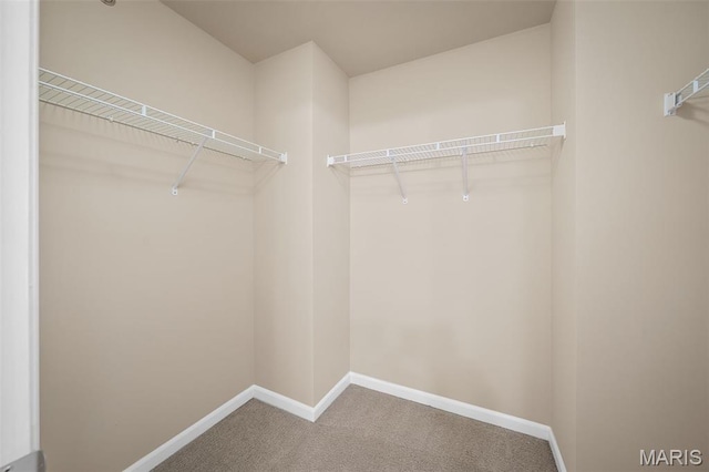 533 Bramblett Hls, Ofallon, MO 63366 - spacious closet with carpet