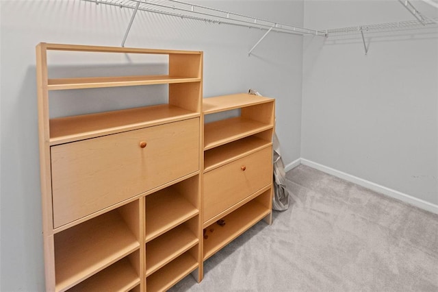 spacious closet featuring carpet flooring