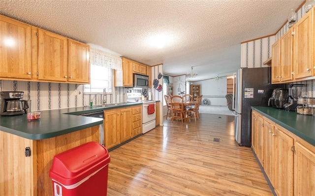 442 County Road 6250, Salem, MO 65560 - kitchen with stainless steel appliances, a sink, dark countertops, light wood finished floors, and a textured ceiling