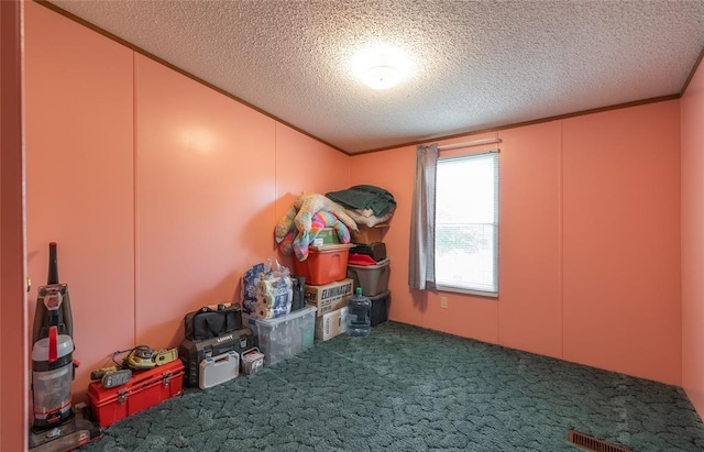 442 County Road 6250, Salem, MO 65560 - miscellaneous room featuring carpet and a textured ceiling