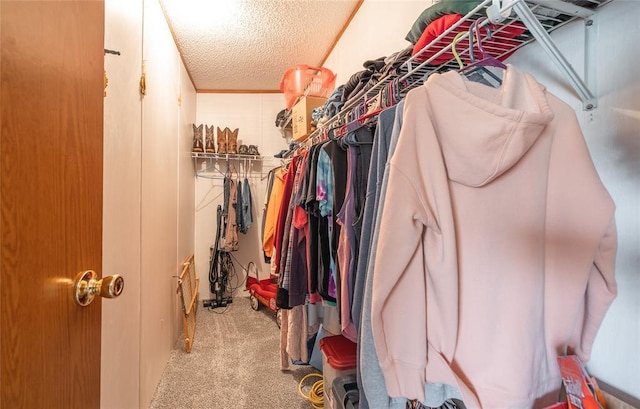 442 County Road 6250, Salem, MO 65560 - spacious closet with carpet floors
