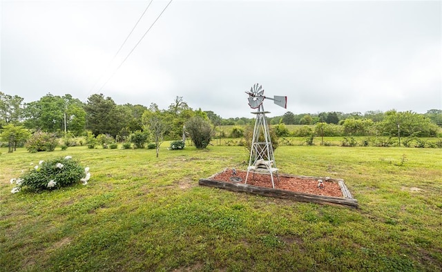 442 County Road 6250, Salem, MO 65560 - view of green lawn