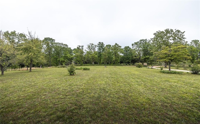 442 County Road 6250, Salem, MO 65560 - view of green lawn