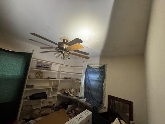 206 Thoroughman Ave, Ferguson, MO 63135 - office featuring ceiling fan