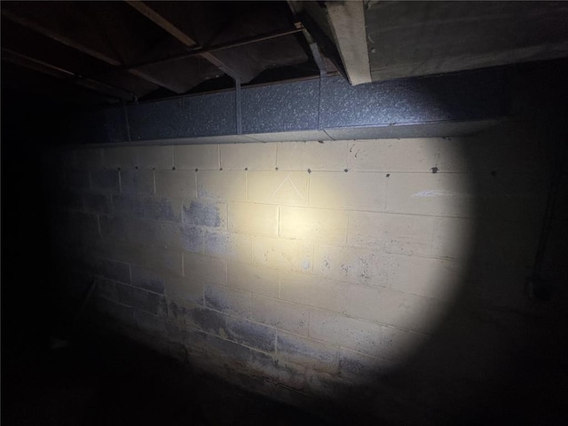 206 Thoroughman Ave, Ferguson, MO 63135 - basement view