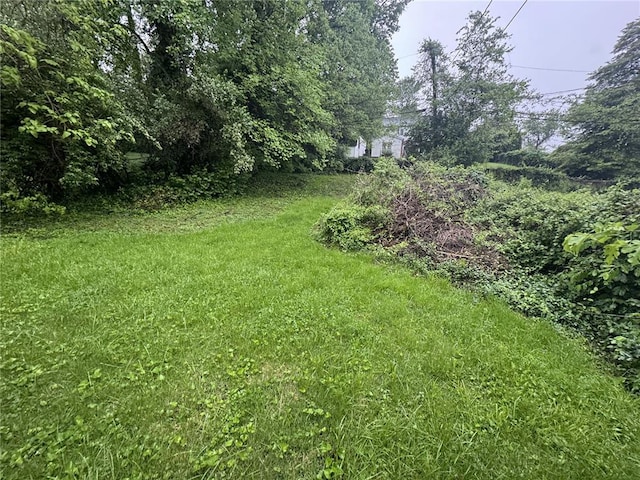 206 Thoroughman Ave, Ferguson, MO 63135 - view of yard