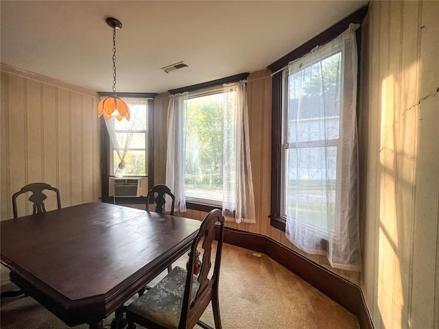 206 Buckner St, Paris, MO 65275 - photo 11