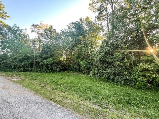 206 Buckner St, Paris, MO 65275 - photo 45