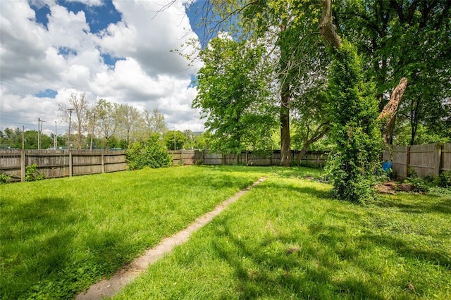 view of yard