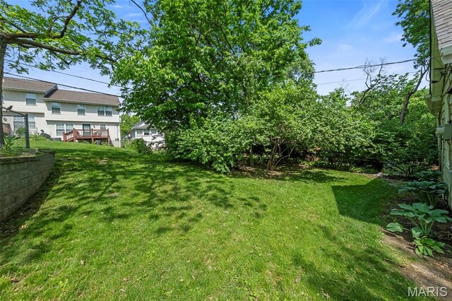 1517 Brock, Saint Louis, MO 63139 - photo 26