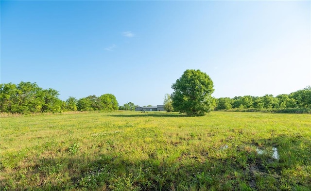 393 W County Road 230, Blytheville, AR 72315 - photo 7