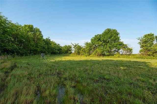 393 W County Road 230, Blytheville, AR 72315 - photo 37