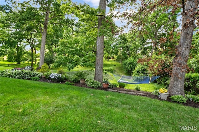 630 Pine Creek Dr, Town And Country, MO 63017 - photo 37