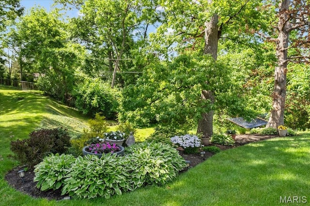 630 Pine Creek Dr, Town And Country, MO 63017 - photo 38