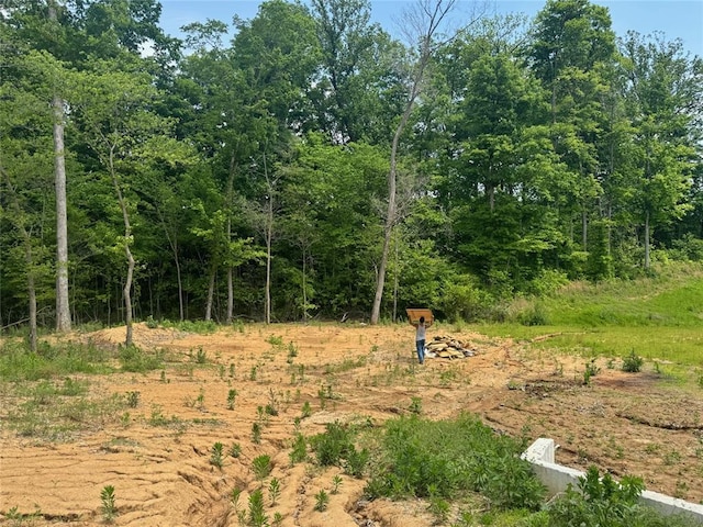 289 Broch Tuarach Pl, Jackson, MO 63755 - view of local wilderness