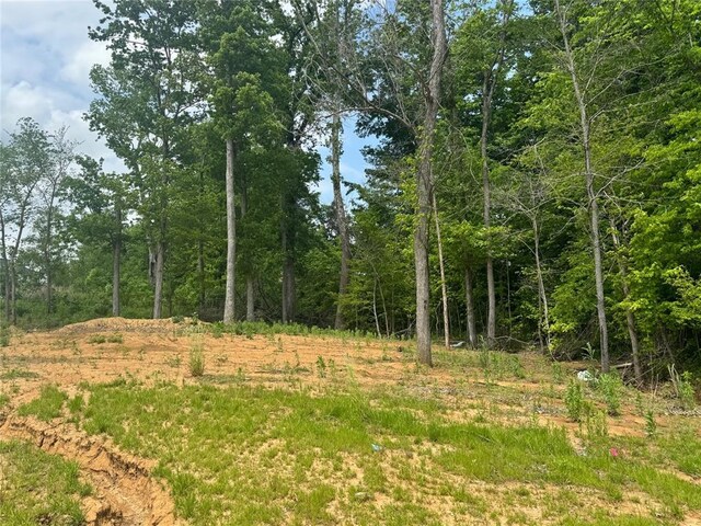 289 Broch Tuarach Pl, Jackson, MO 63755 - view of tree filled area