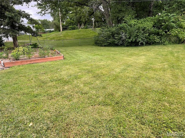 12036 Orchard View Dr, Creve Coeur Township, MO 63146 - view of yard with a vegetable garden