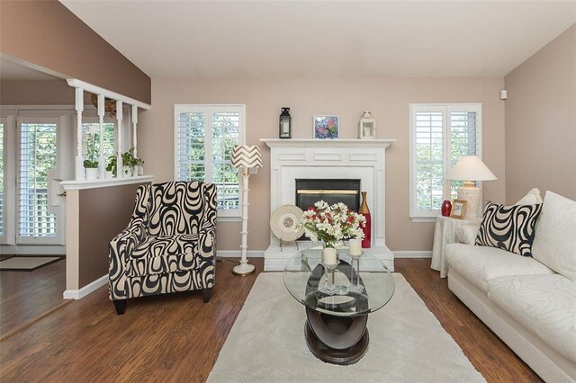 55 Rue De Paix Dr, Lake St Louis, MO 63367 - living area featuring dark wood finished floors, baseboards, plenty of natural light, and a fireplace