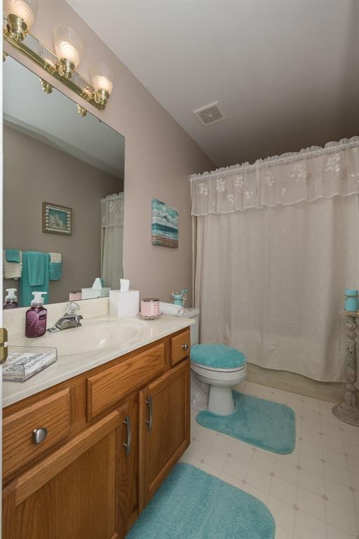 55 Rue De Paix Dr, Lake St Louis, MO 63367 - bathroom with vanity, toilet, and a shower with curtain