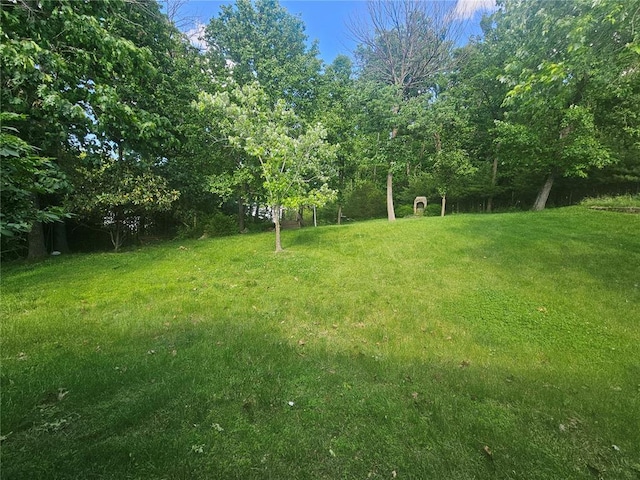 826 Oak Mill Ln, Imperial, MO 63052 - view of green lawn