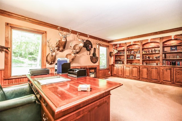 office space featuring crown molding, light carpet, wainscoting, and wooden walls