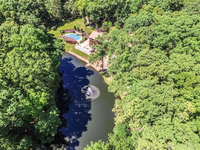 aerial view of a nearby body of water and a forest