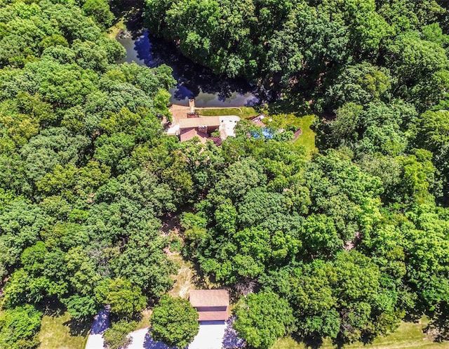 drone / aerial view of a forest