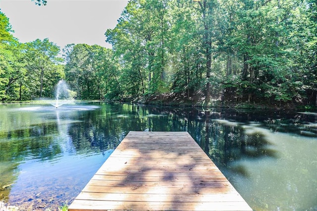 dock with a water view