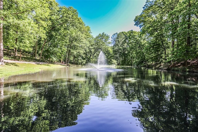 water view featuring a forest
