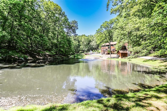 water view with a forest