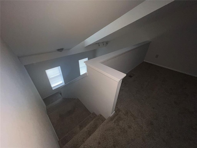 1007 Allen Ave, Saint Louis, MO 63104 - photo 35