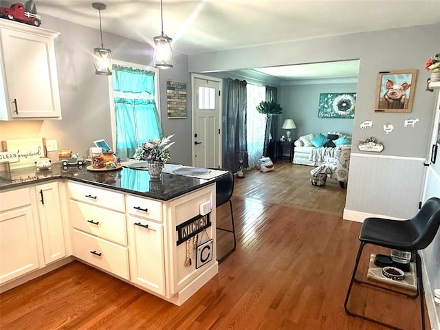 106 W Iowa St, Trenton, IL 62293 - kitchen featuring open floor plan, wood finished floors, a peninsula, pendant lighting, and white cabinets