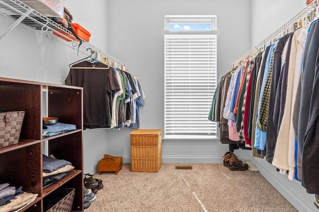 2604 Center Ave, Wildwood, MO 63040 - spacious closet with carpet