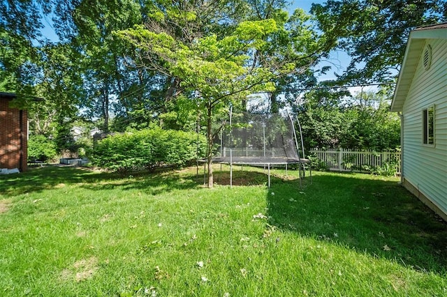 5 Homestead Acres, Olivette, MO 63132 - view of yard with a trampoline