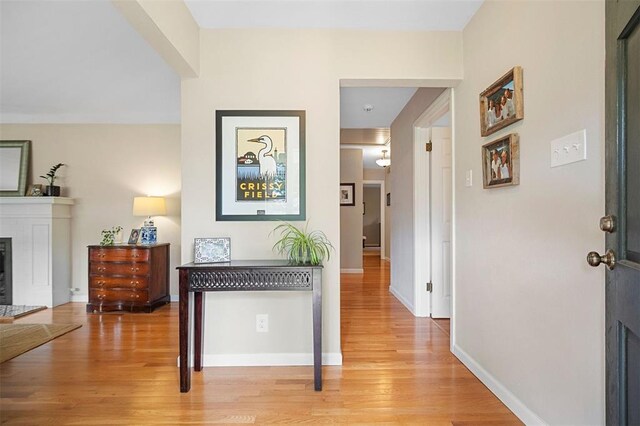 5 Homestead Acres, Olivette, MO 63132 - hall with light wood-style flooring and baseboards