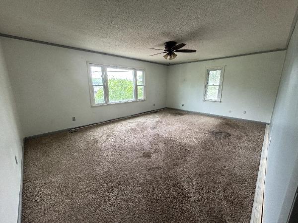 spare room featuring healthy amount of natural light, ceiling fan, a textured ceiling, and carpet